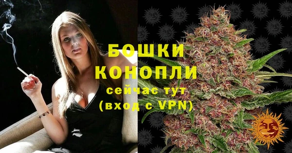 стафф Пролетарск
