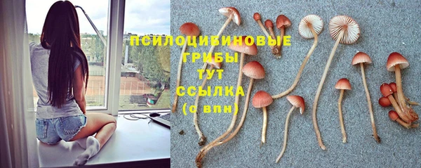 каннабис Абаза